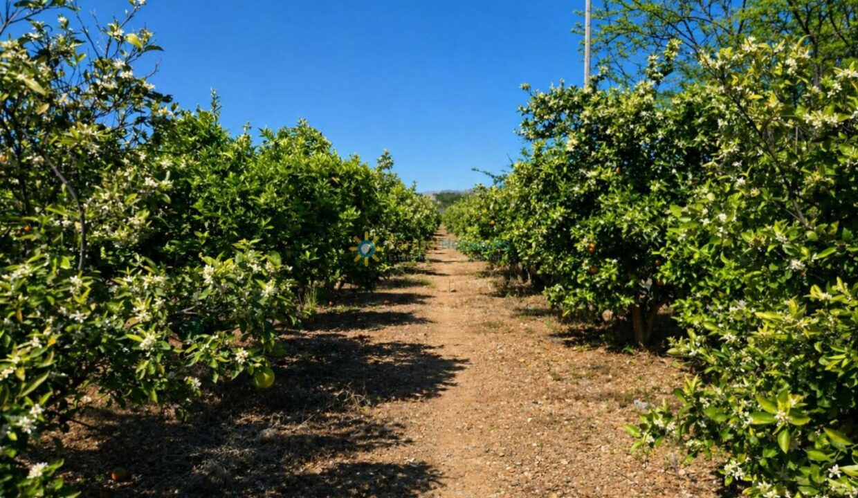 ChatGPT Image 29 abr 2026, 17_26_25