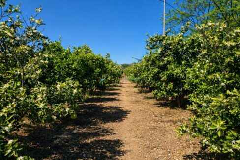 ChatGPT Image 29 abr 2026, 17_26_25