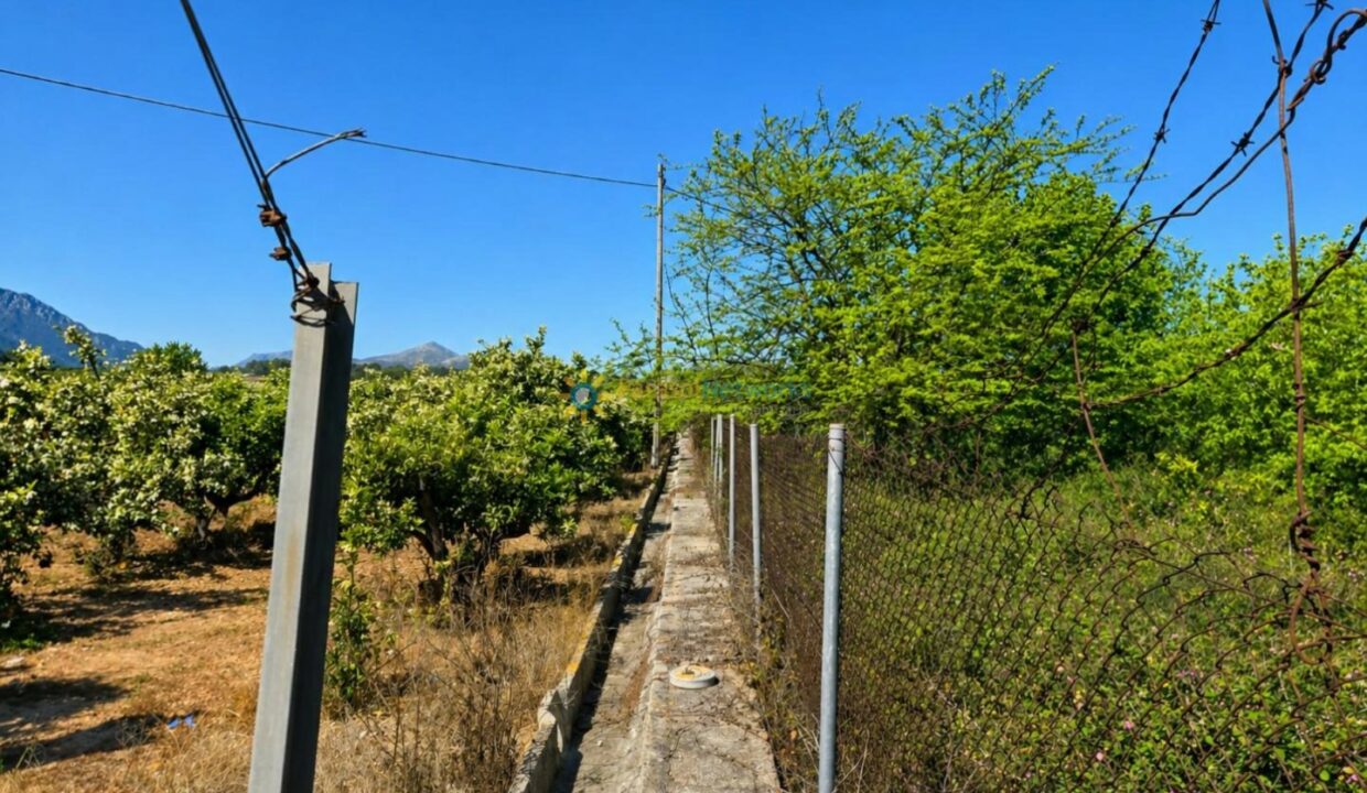 ChatGPT Image 29 abr 2026, 17_27_37