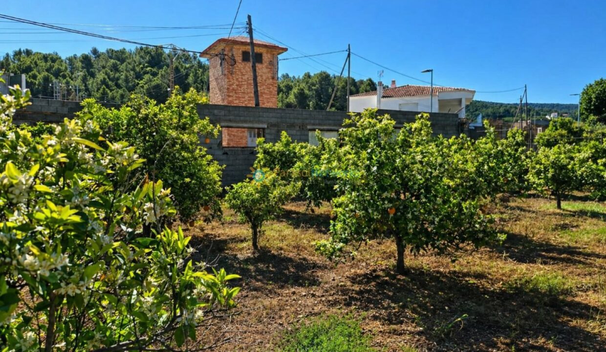 ChatGPT Image 29 abr 2026, 17_28_38