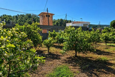 ChatGPT Image 29 abr 2026, 17_28_38