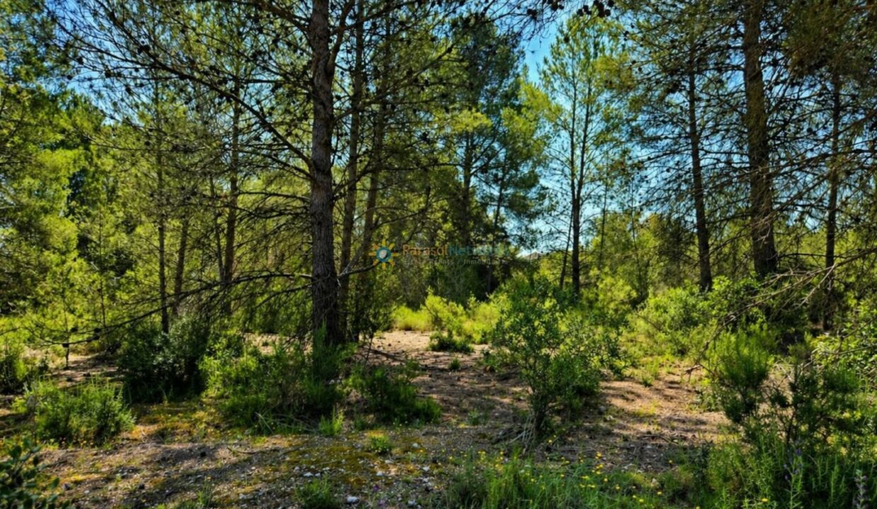 ChatGPT Image 30 abr 2026, 18_30_20