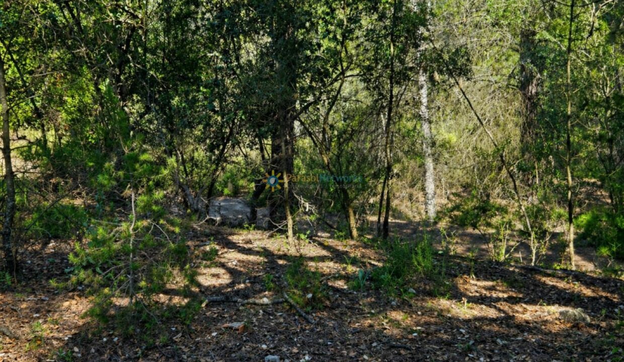ChatGPT Image 30 abr 2026, 18_37_06