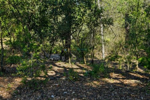 ChatGPT Image 30 abr 2026, 18_37_06