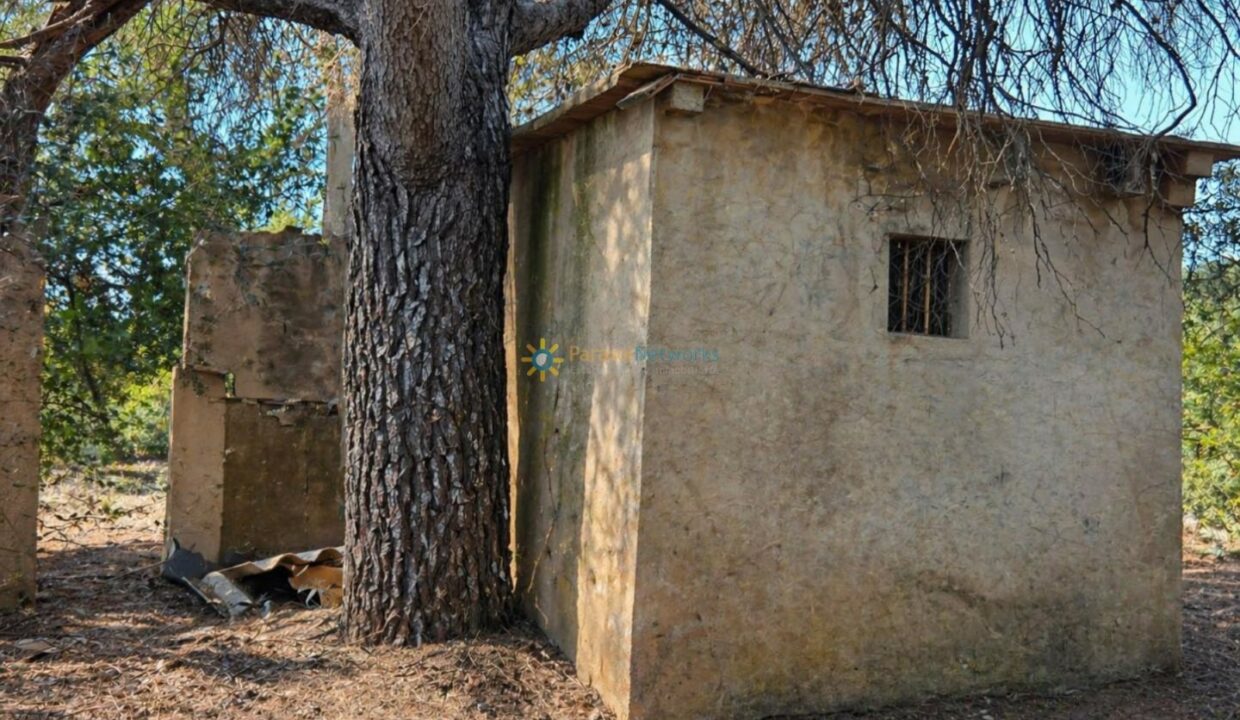 ChatGPT Image 30 abr 2026, 19_35_58