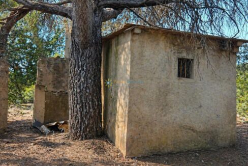 ChatGPT Image 30 abr 2026, 19_35_58