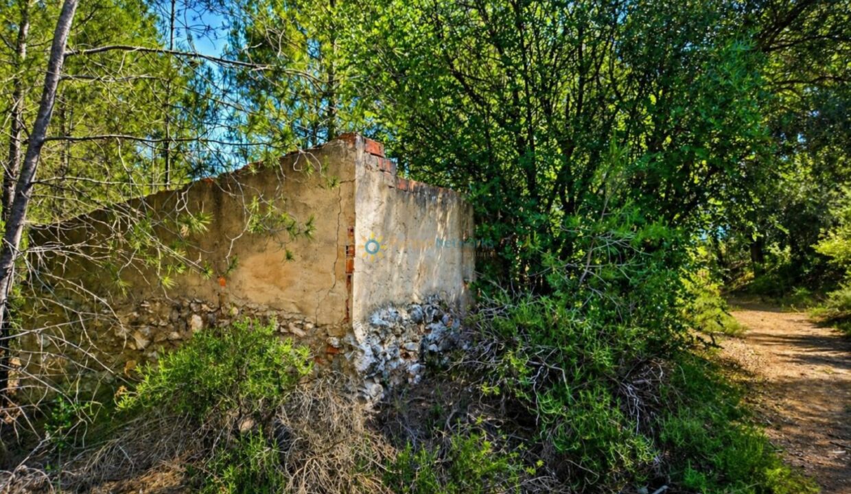 ChatGPT Image 30 abr 2026, 19_47_40