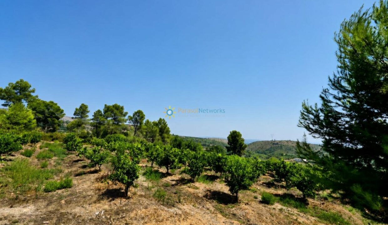 ChatGPT Image 30 jul 2026, 17_41_53