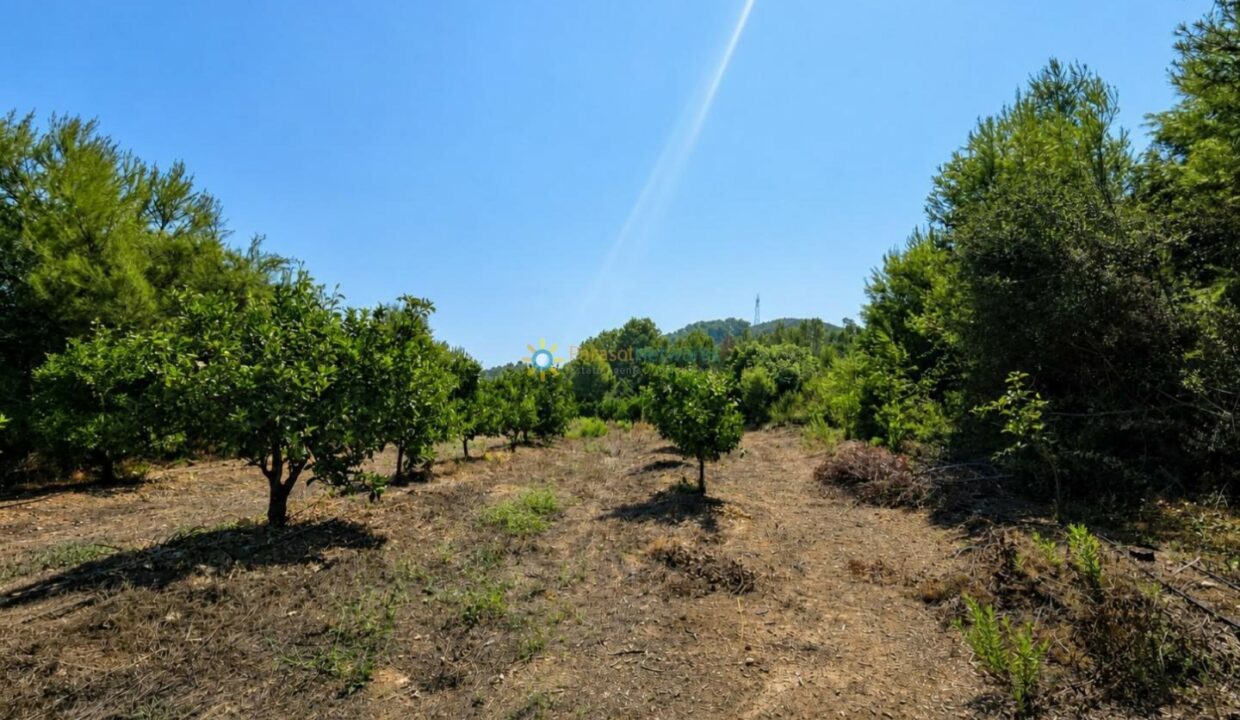 ChatGPT Image 30 jul 2026, 18_00_30