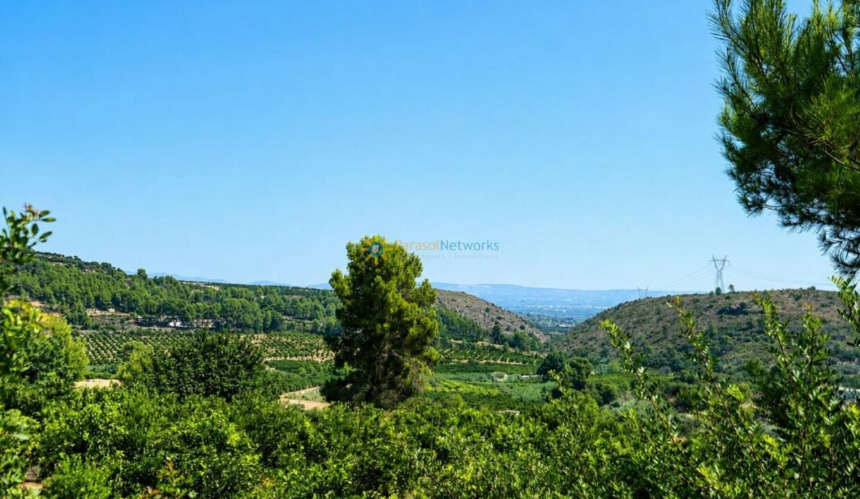ChatGPT Image 30 jul 2026, 18_04_03