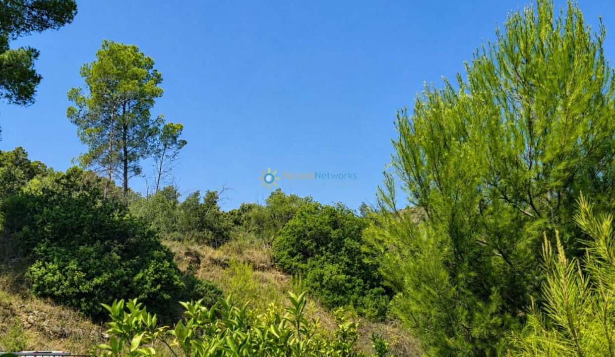 ChatGPT Image 30 jul 2026, 18_05_02