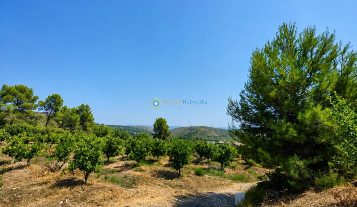 ChatGPT Image 30 jul 2026, 18_06_04
