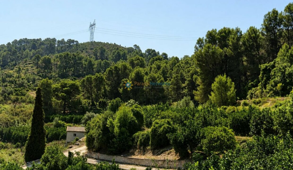 ChatGPT Image 30 jul 2026, 19_03_06