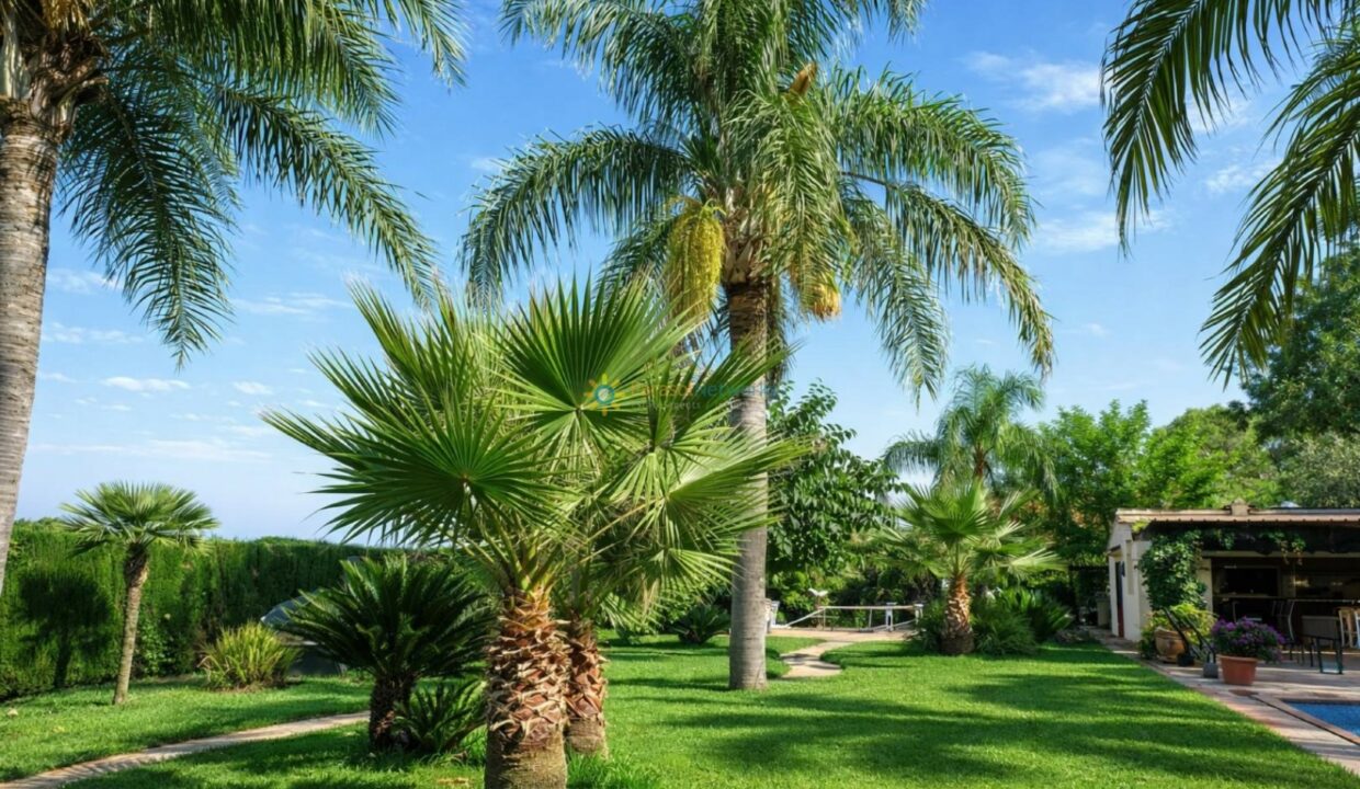 ChatGPT Image 30 mar 2026, 16_56_48