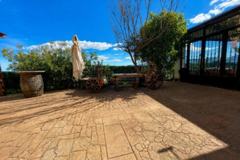 ChatGPT Image 31 ago 2026, 16_44_57