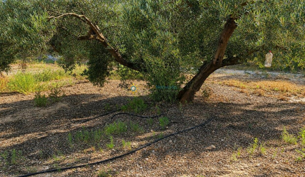 ChatGPT Image 7 ago 2026, 13_22_28