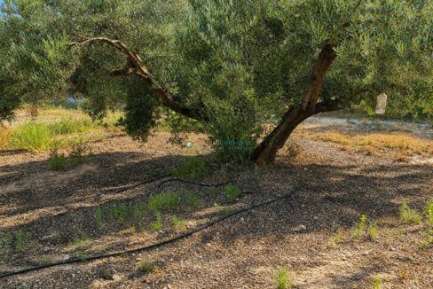 ChatGPT Image 7 ago 2026, 13_22_28