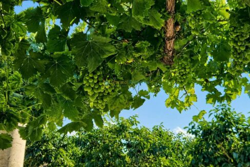 ChatGPT Image 7 jul 2026, 17_37_30