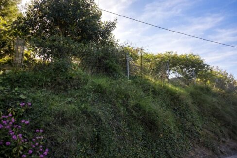 Colina exuberante al amanecer