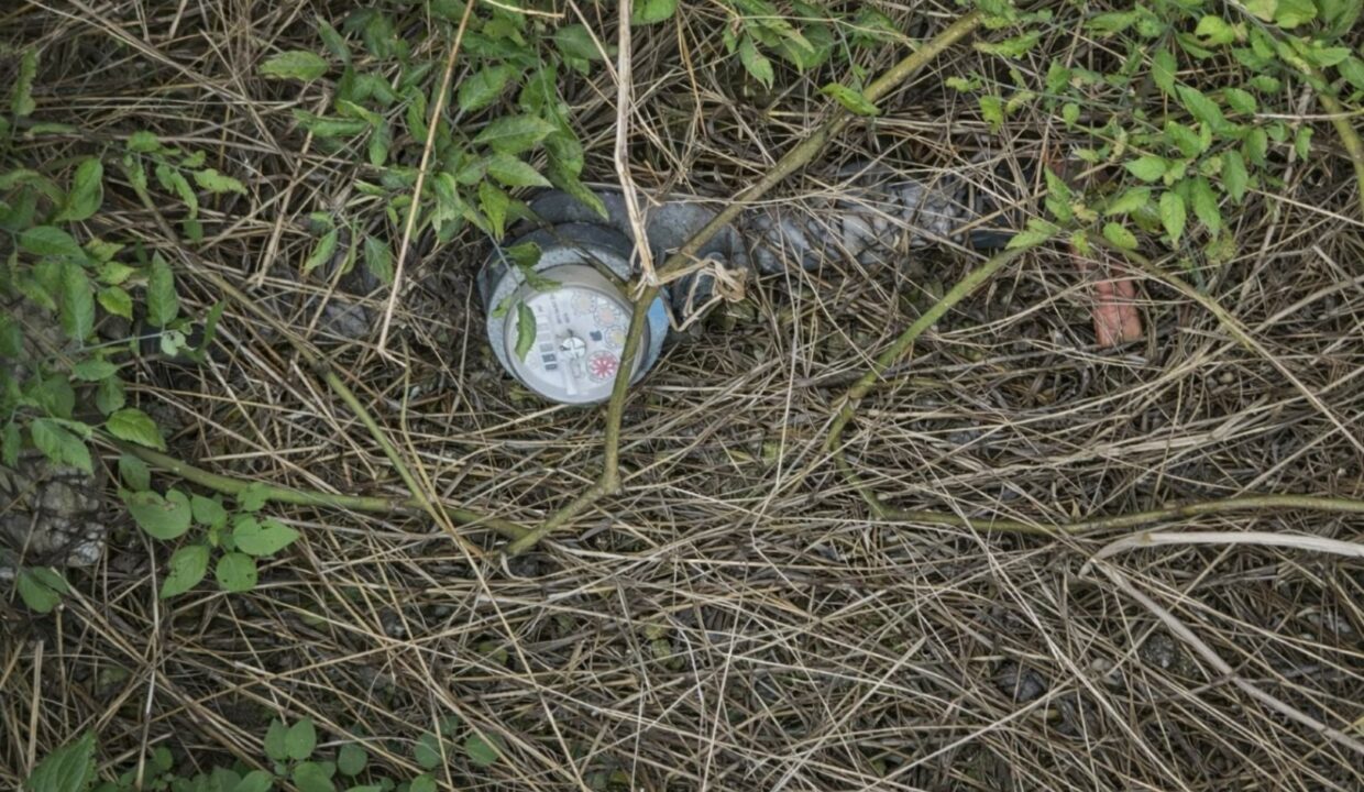 Contador de agua entre la maleza