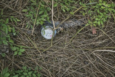 Contador de agua entre la maleza