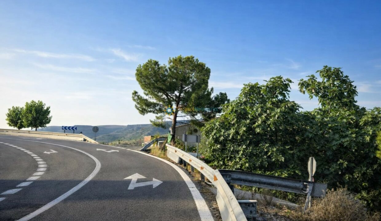 Curva en la carretera rodeada de árboles