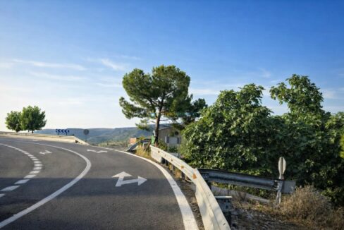 Curva en la carretera rodeada de árboles