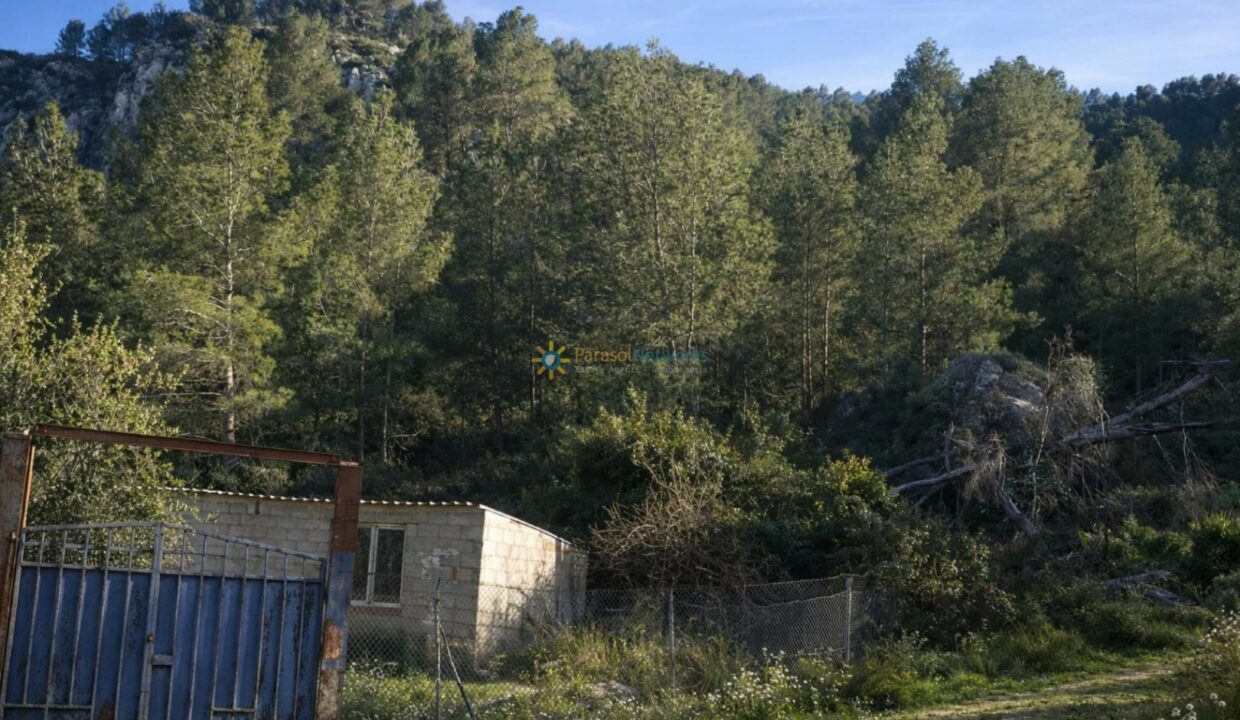 Edificio abandonado en el bosque