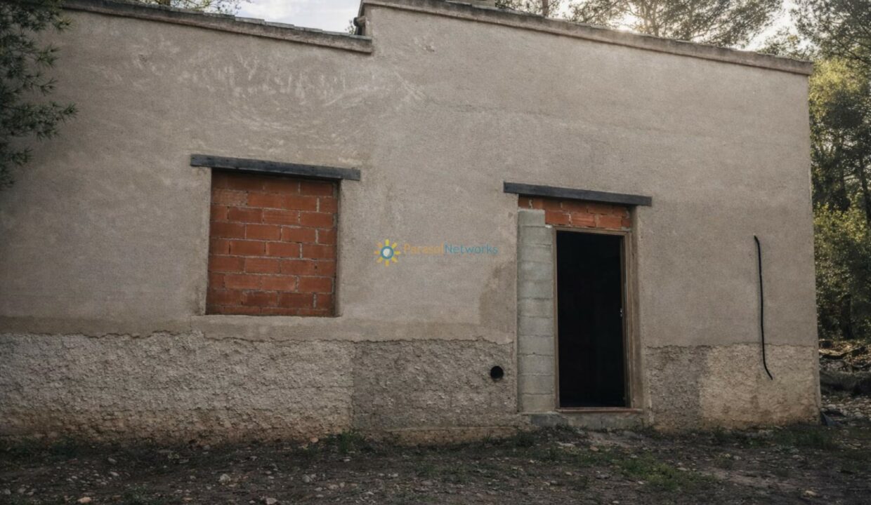 Edificio abandonado en el bosque(1)