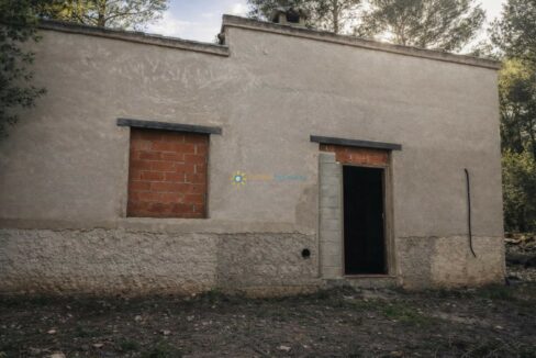Edificio abandonado en el bosque(1)