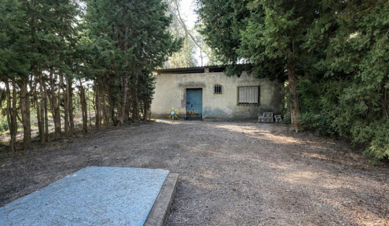 Edificio abandonado entre los árboles