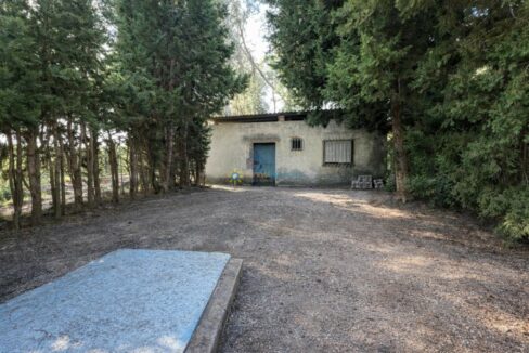 Edificio abandonado entre los árboles