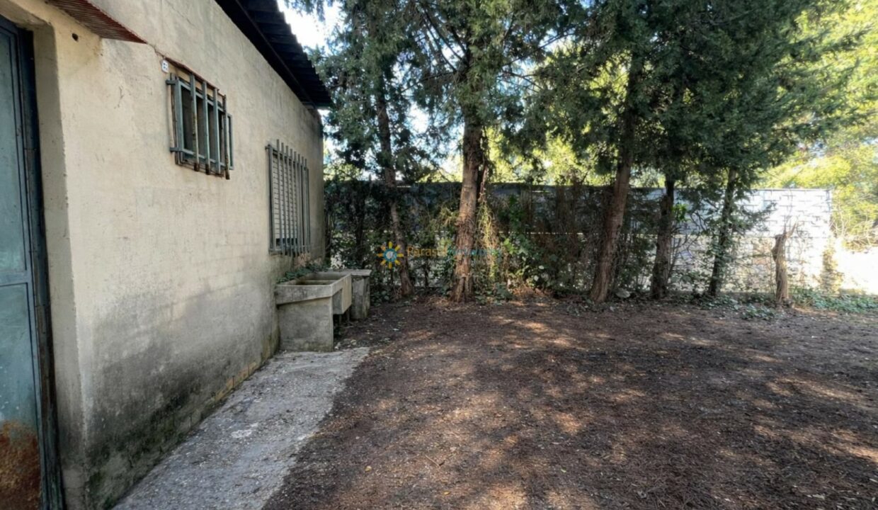 Edificio antiguo junto a naturaleza exuberante