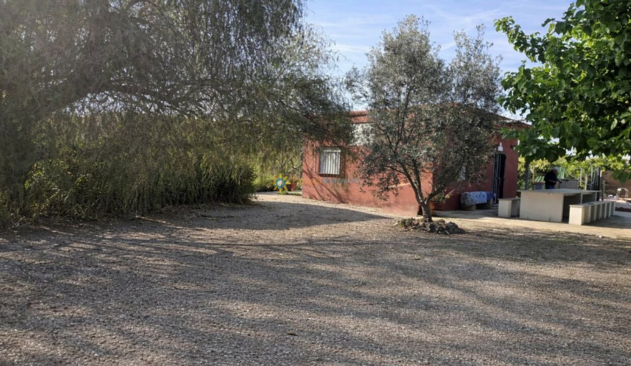 Edificio rojo y olivo en campo