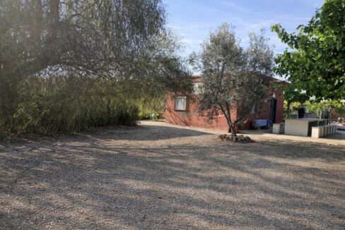 Edificio rojo y olivo en campo