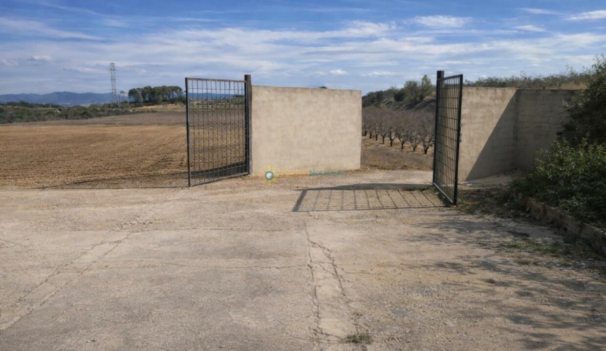 Entrada a terreno despejado con viñedo