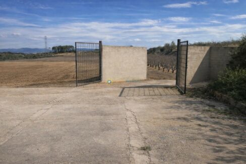 Entrada a terreno despejado con viñedo