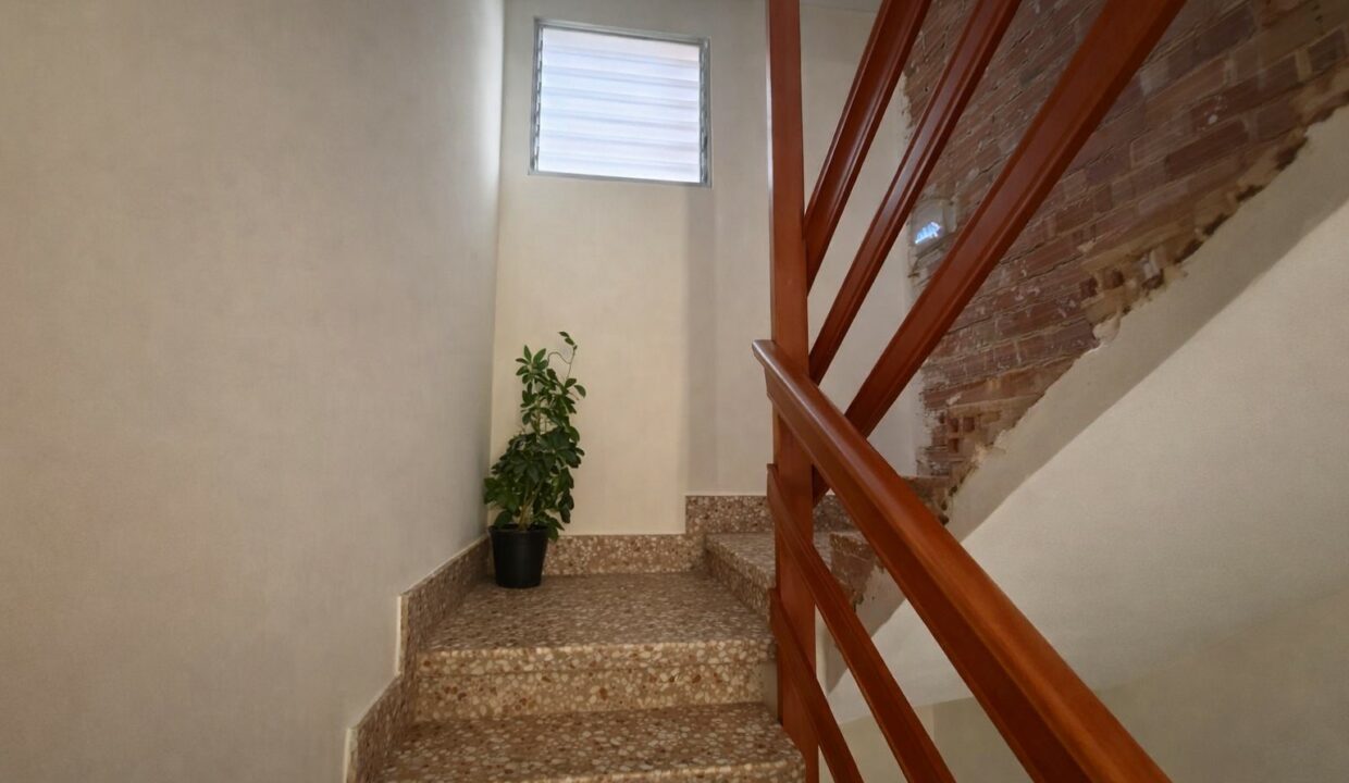 Escalera interior con planta decorativa