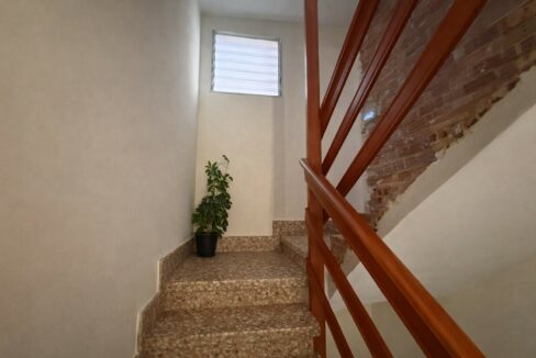 Escalera interior con planta decorativa