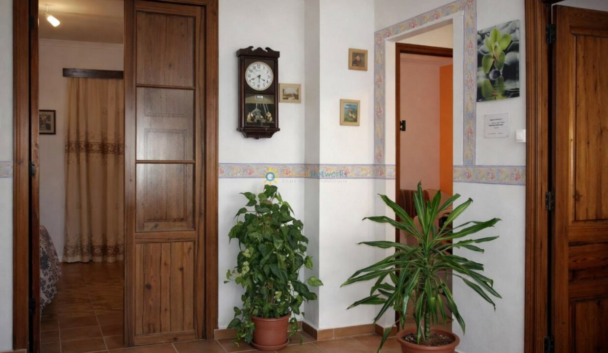 Esquina acogedora con plantas y reloj