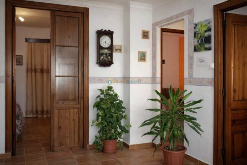 Esquina acogedora con plantas y reloj