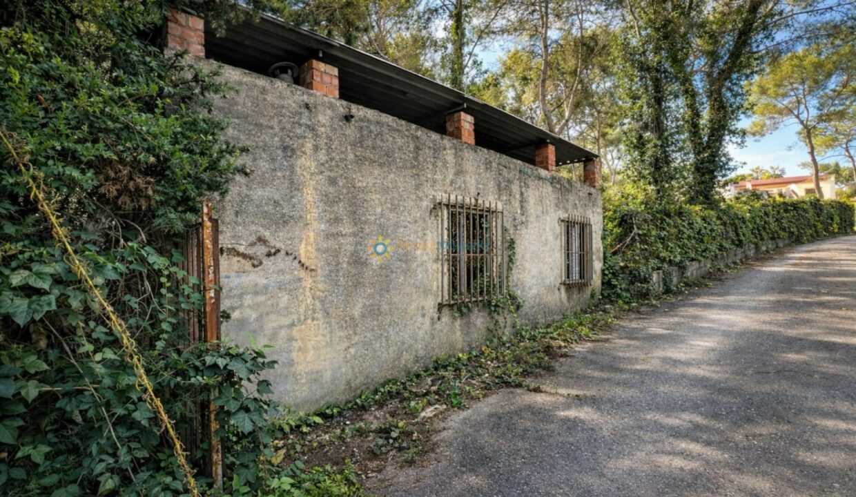 Estructura abandonada en paisaje rural
