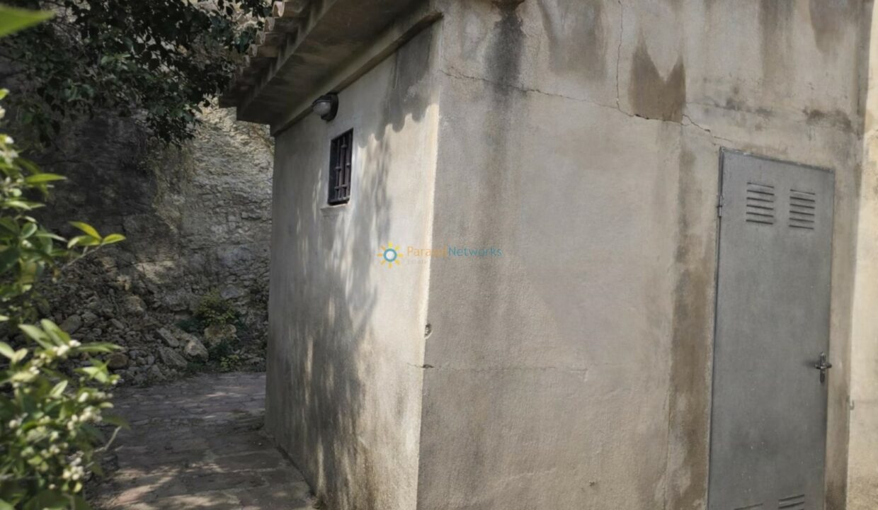 Estructura de concreto y vegetación