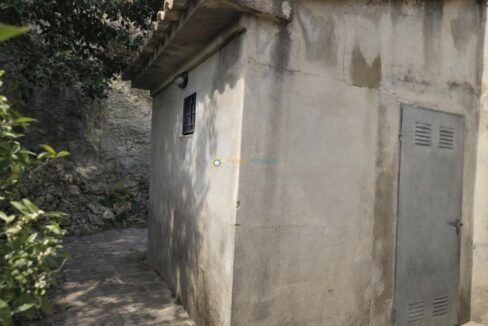 Estructura de concreto y vegetación