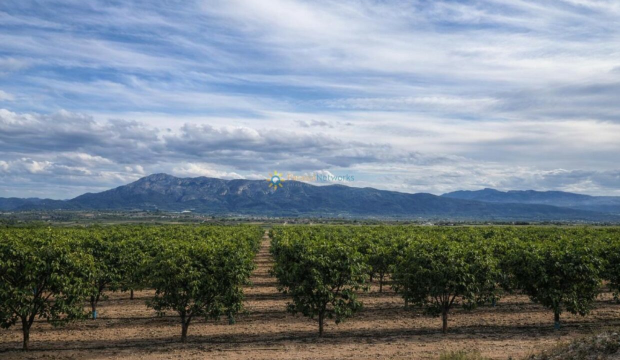 Huerto en el valle con montañas