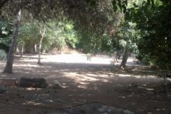 IMG-20230630-WA0085