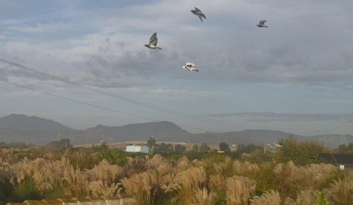 IMG-20231018-WA0041