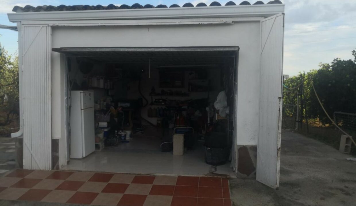 IMG-20231018-WA0056