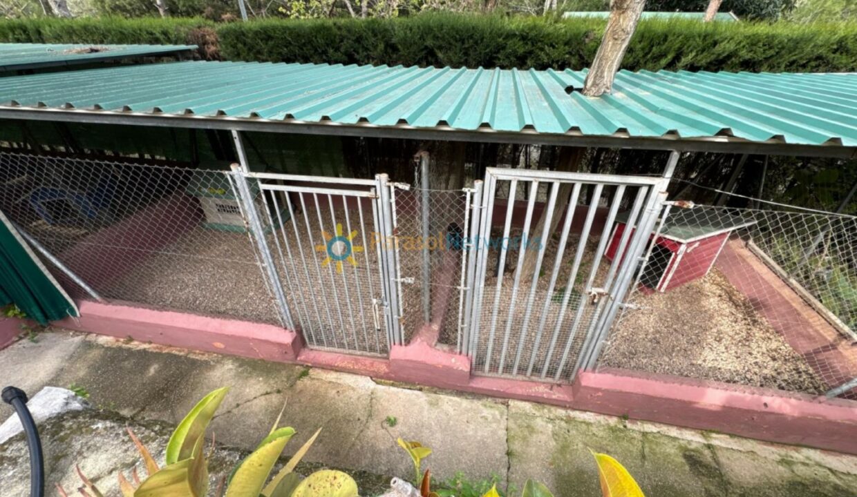 IMG-20250321-WA0027