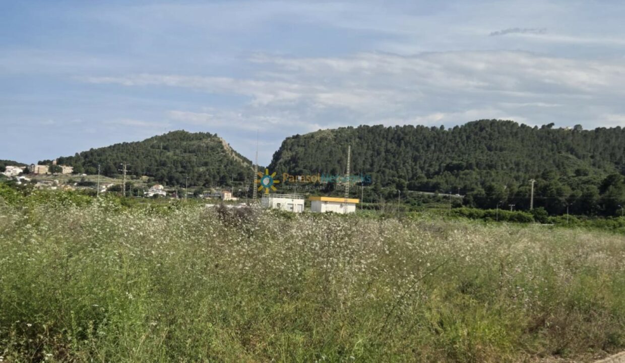 IMG-20250523-WA0003